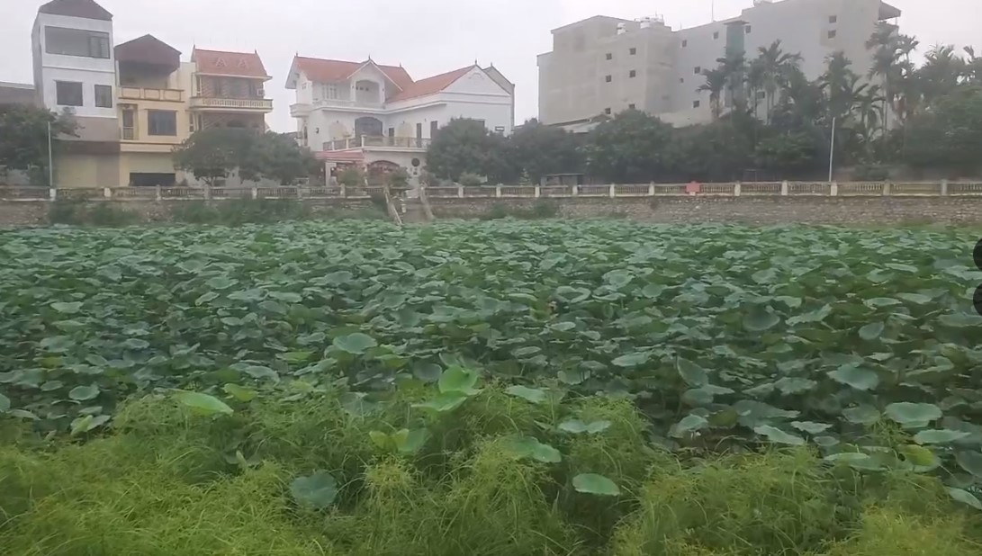 Screenshot 2025-06-14 201001