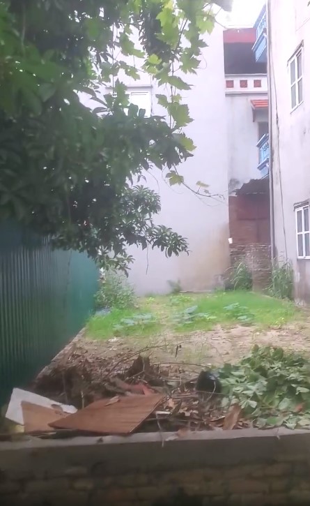 Screenshot 2025-06-14 201319