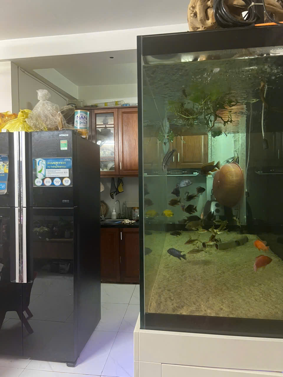 z6703822471316_46402951c7afaf7ef232321650a1cd5b